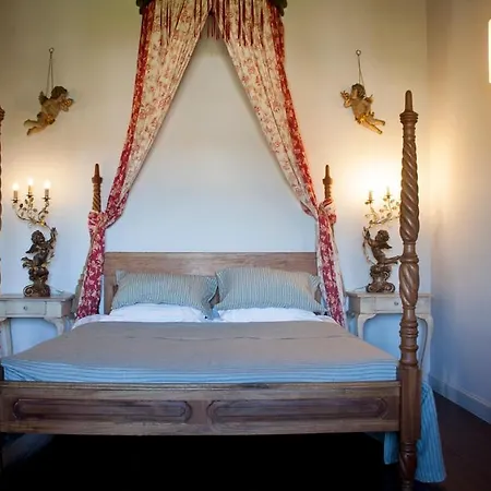 Chateau St Maximin - 5 Min D'Uzes * Saint-Maximin (Gard)